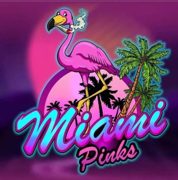 Miami Pinks Pack - Miami Pinks Farm